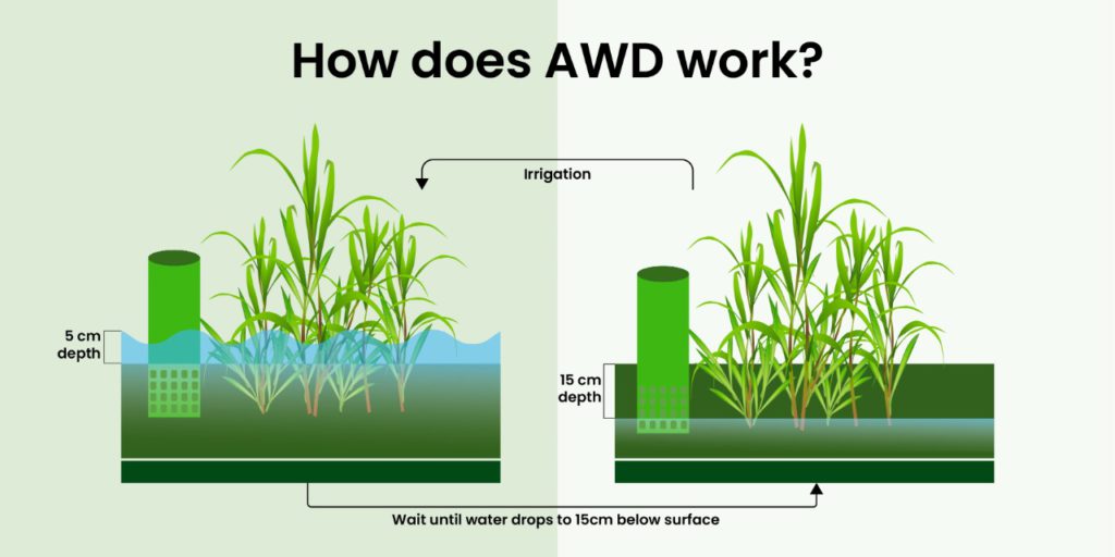 Revolutionizing Agriculture with Smart AWD System